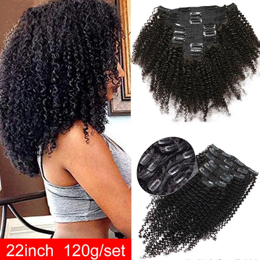 Kinky Curly Clip in Hair Extension Maxine 3C 4A Afro - Lushstrand